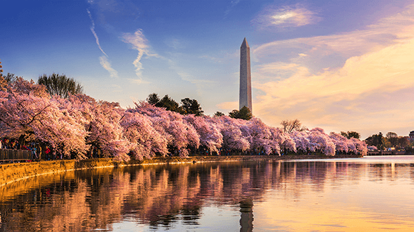 Photo National Mall, Washington, D.C. Photo national mall, Washington, D.C.