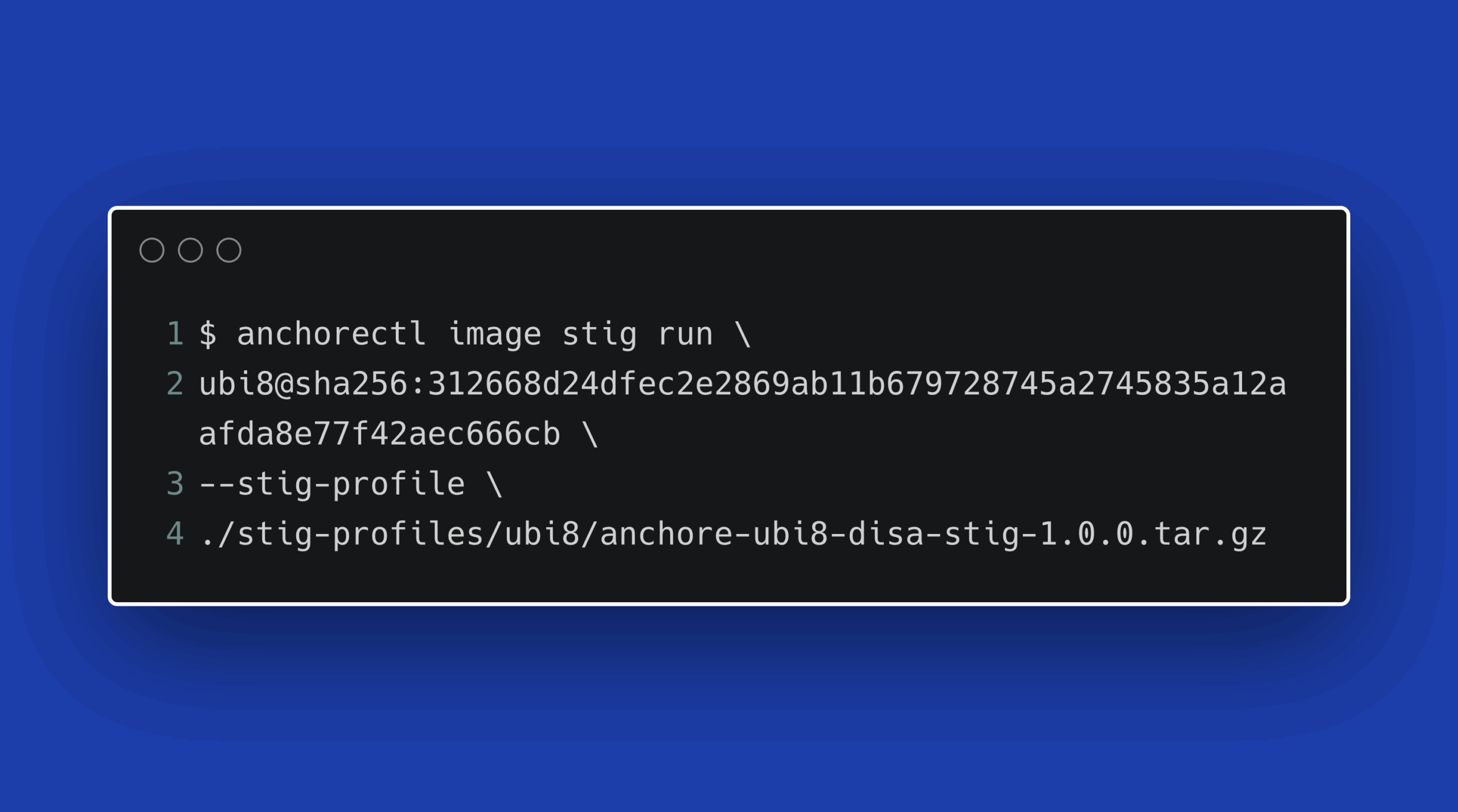 anchorectl image stig run