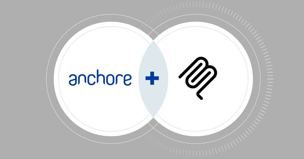 Anchore + MCP Logos